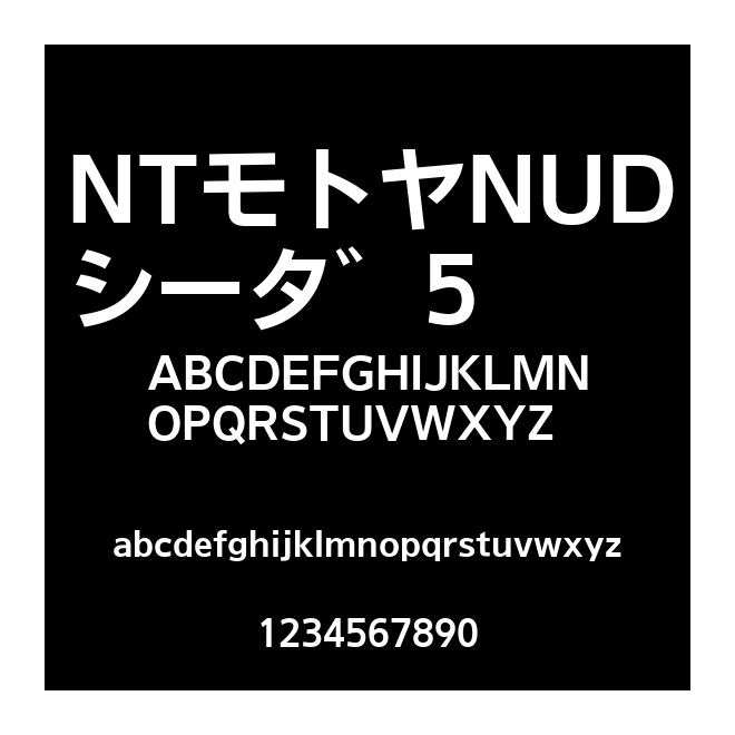 NTモトヤNUDシータ゛5