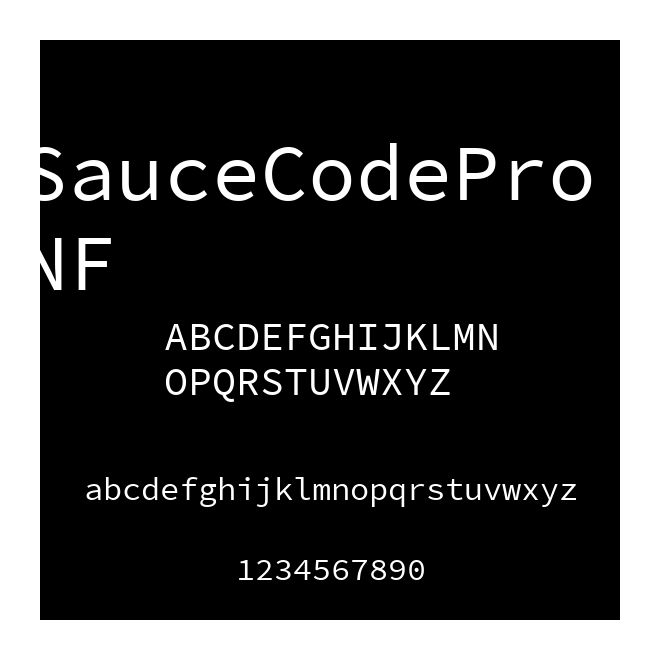 SauceCodePro NF