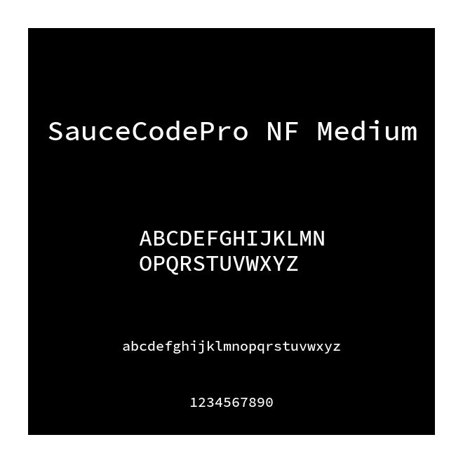 SauceCodePro NF Medium