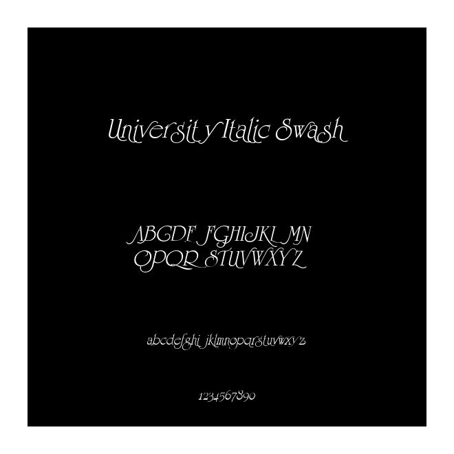 University Italic Swash