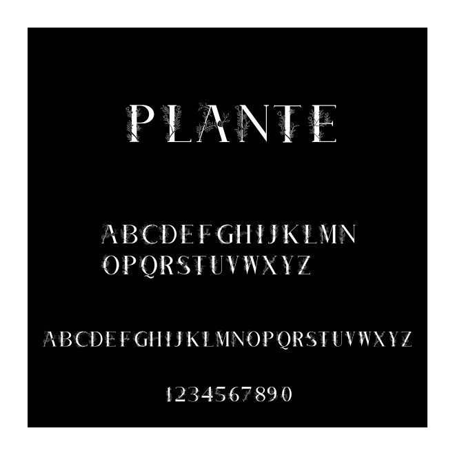 Plante