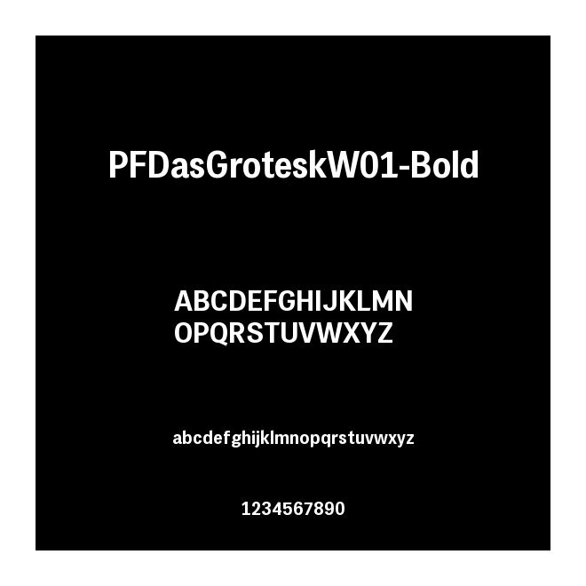 PFDasGroteskW01-Bold