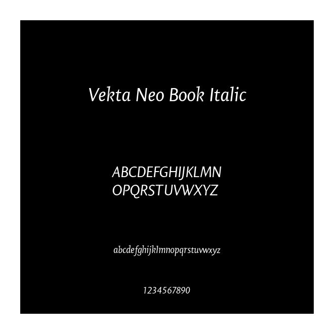 Vekta Neo Book Italic