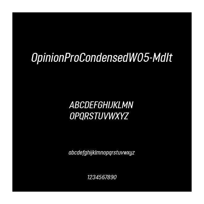 OpinionProCondensedW05-MdIt