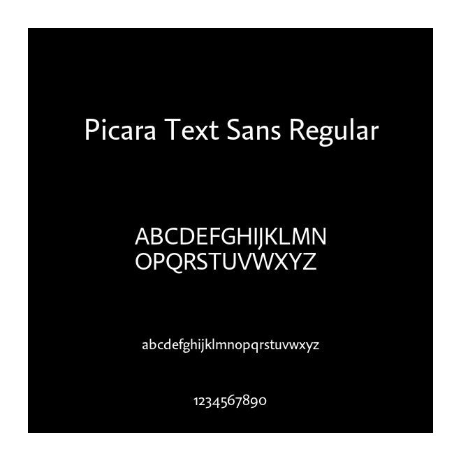 Picara Text Sans Regular