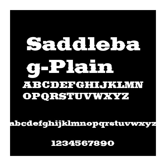 Saddlebag-Plain