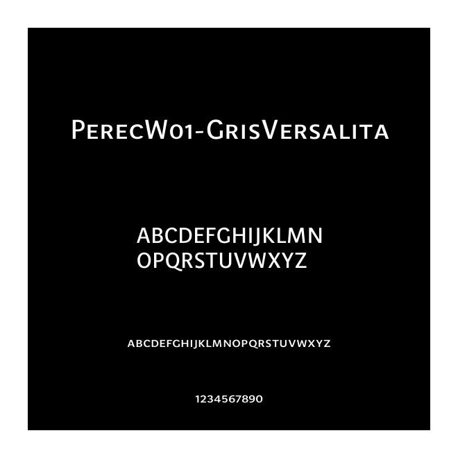PerecW01-GrisVersalita