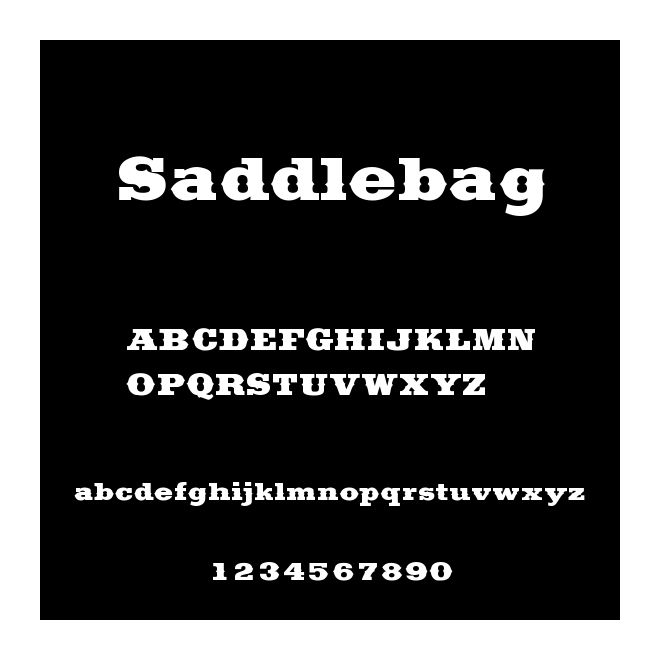 Saddlebag