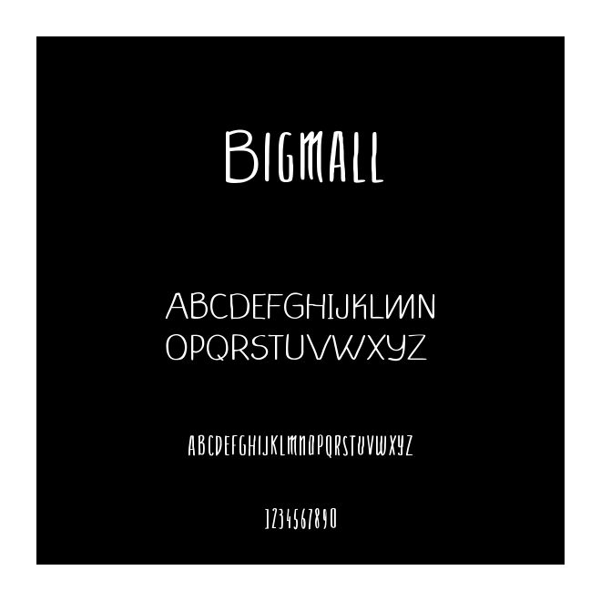 Bigmall