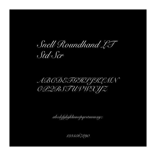 Snell Roundhand LT Std Scr