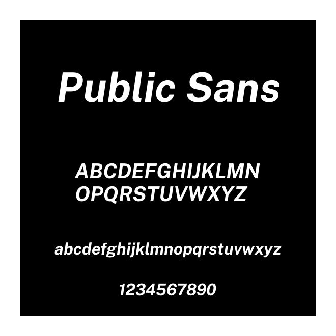 Public Sans
