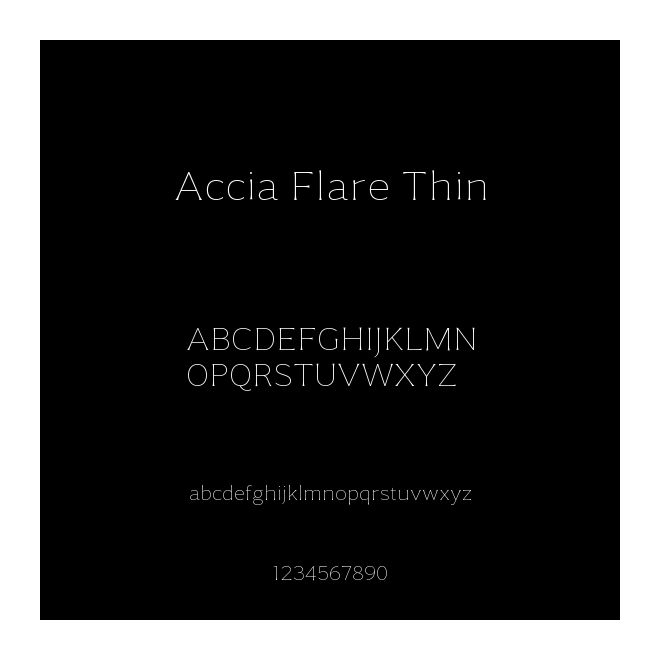 Accia Flare Thin
