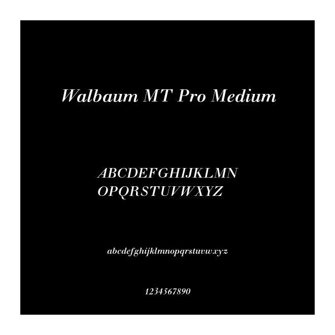 Walbaum MT Pro Medium