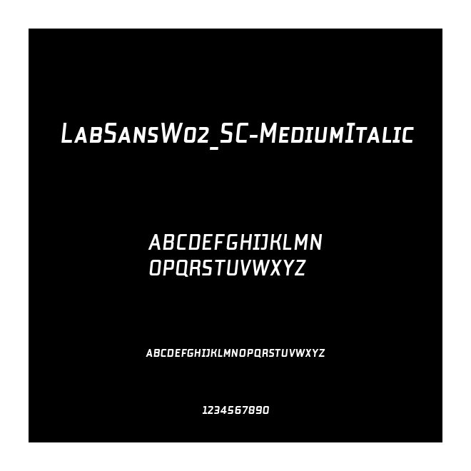 LabSansW02_SC-MediumItalic