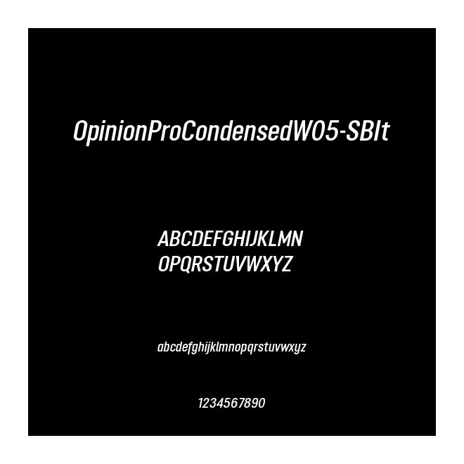 OpinionProCondensedW05-SBIt