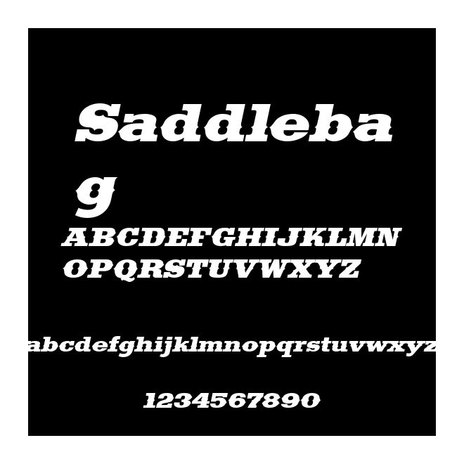 Saddlebag