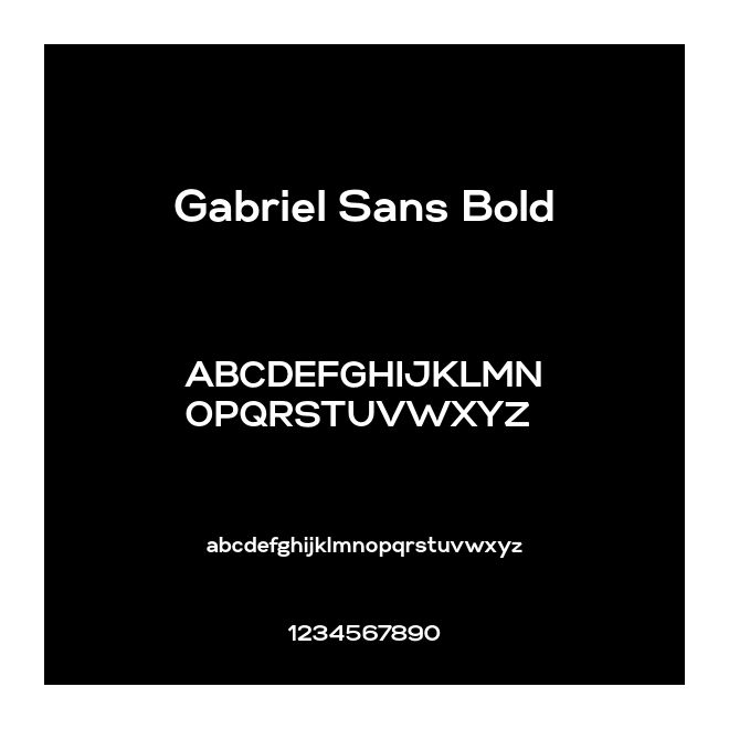 Gabriel Sans Bold