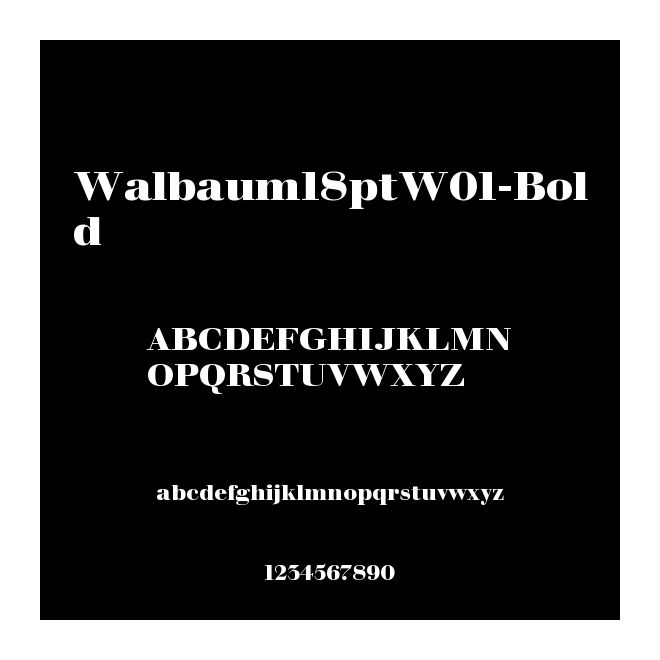 Walbaum18ptW01-Bold