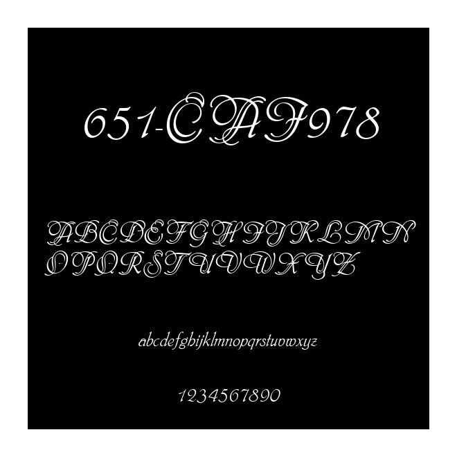 651-CAI978