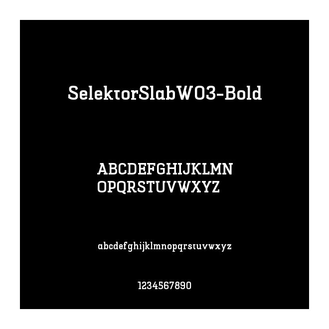 SelektorSlabW03-Bold