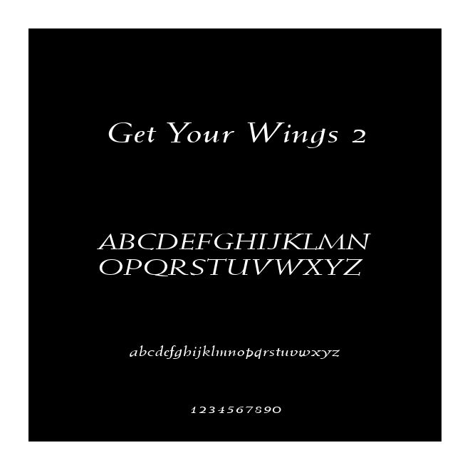 Get Your Wings 2