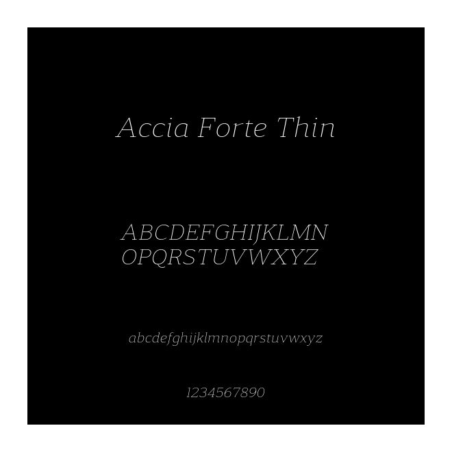 Accia Forte Thin