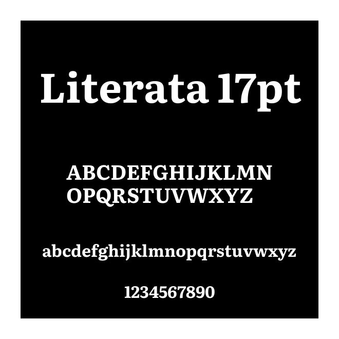 Literata 17pt