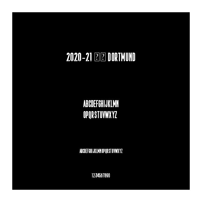 2020-21 多特 Dortmund