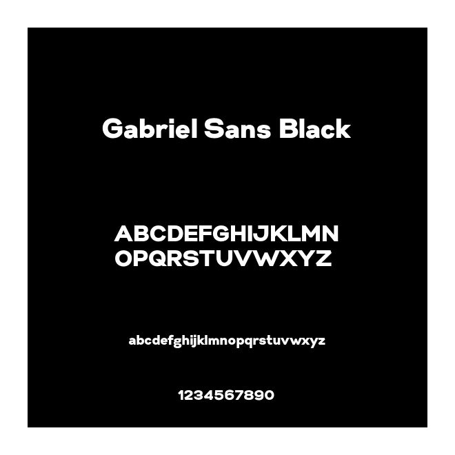 Gabriel Sans Black