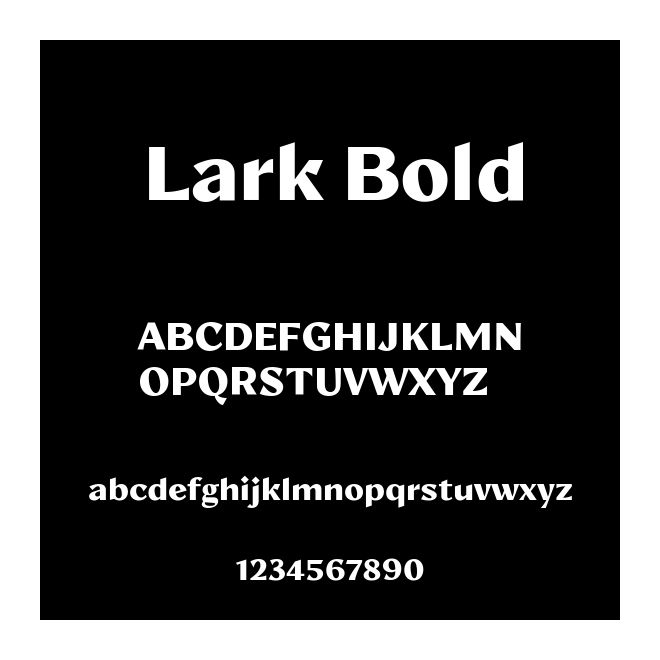 Lark Bold