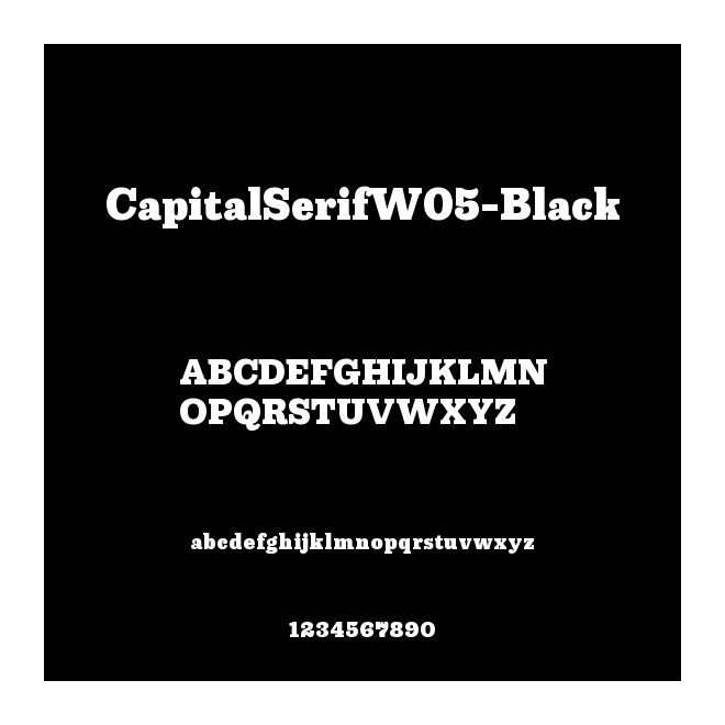 CapitalSerifW05-Black