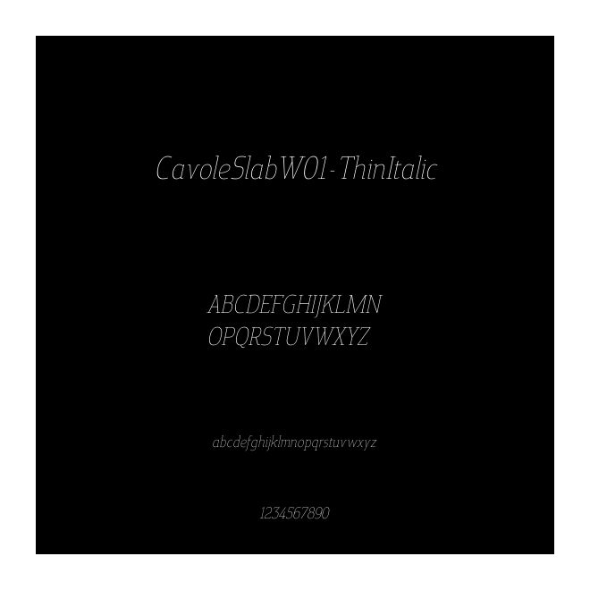 CavoleSlabW01-ThinItalic