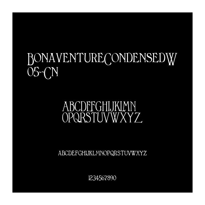 BonaventureCondensedW05-Cn