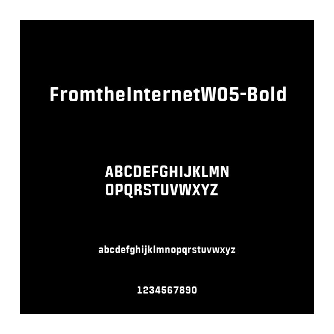 FromtheInternetW05-Bold