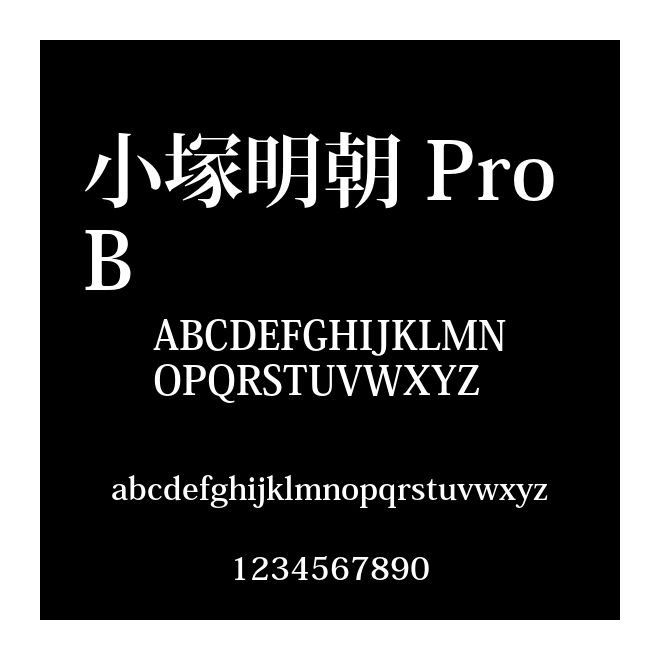 小塚明朝 Pro B