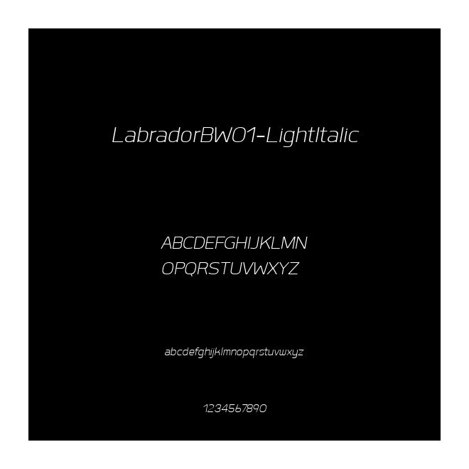 LabradorBW01-LightItalic