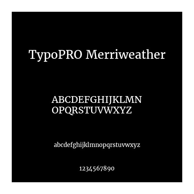 TypoPRO Merriweather