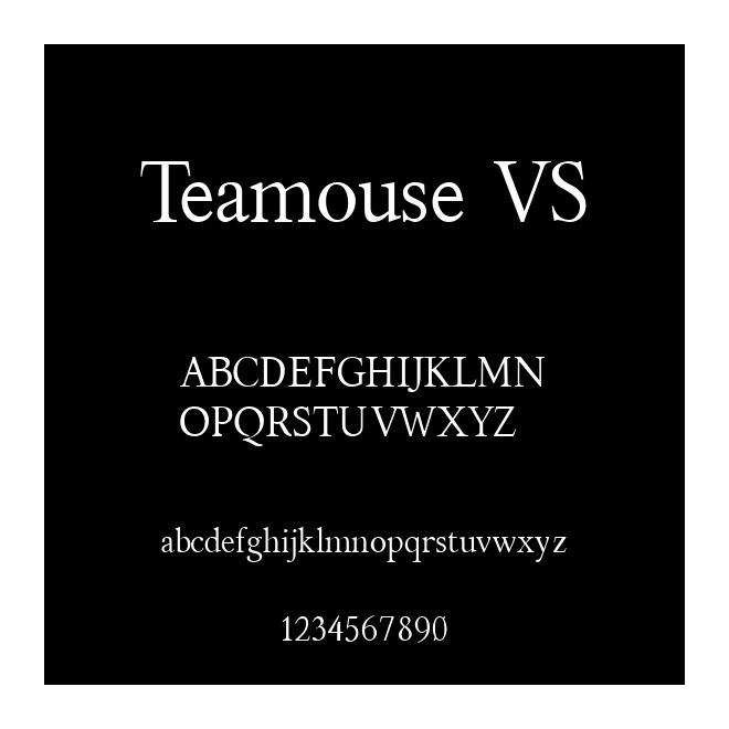 Teamouse VS