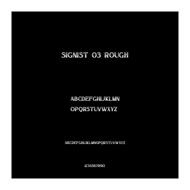 Signist 03 Rough