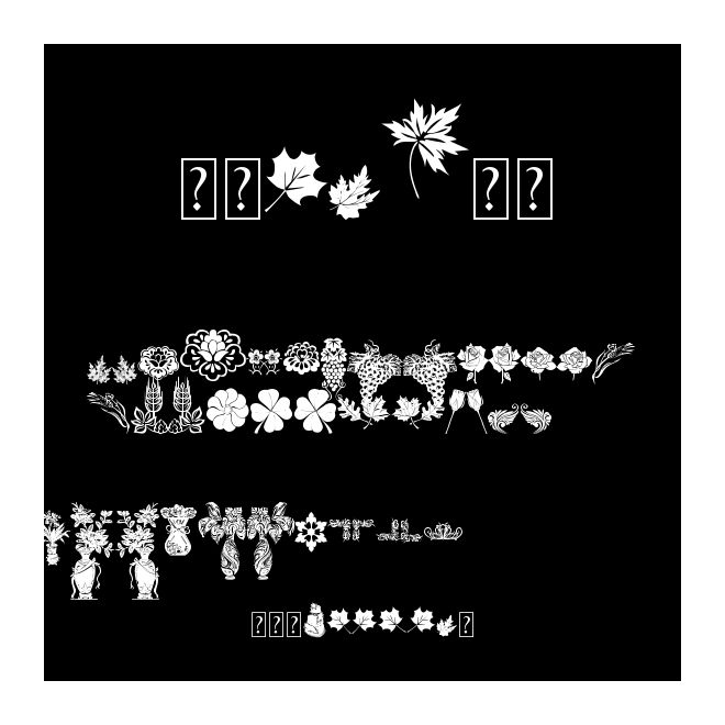 红叶69-叶子