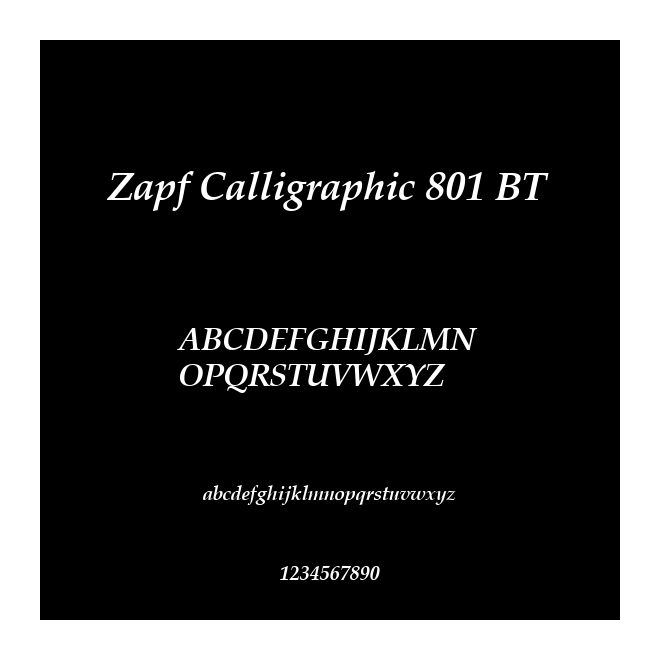 Zapf Calligraphic 801 BT