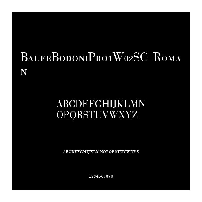 BauerBodoniPro1W02SC-Roman