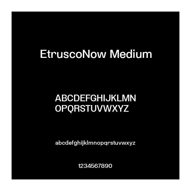 EtruscoNow Medium