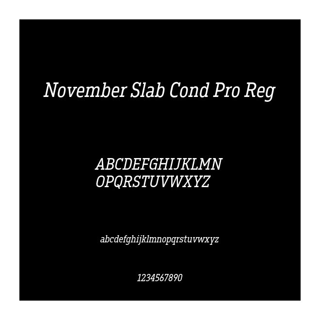 November Slab Cond Pro Reg