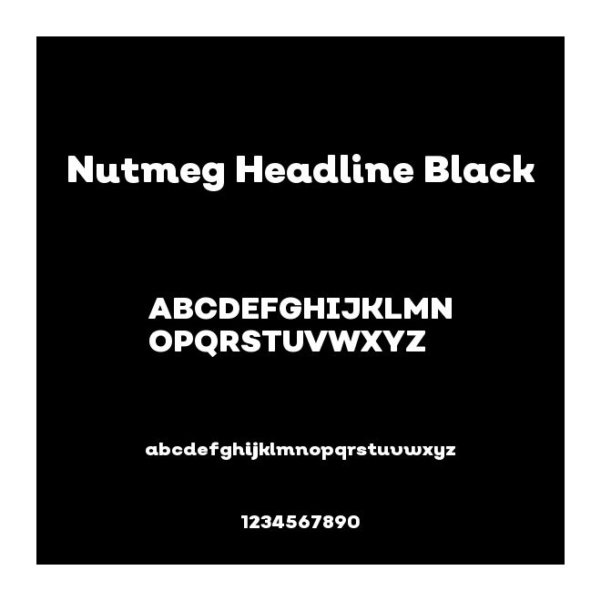 Nutmeg Headline Black