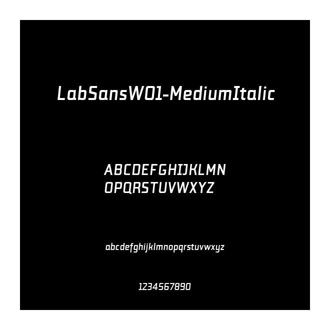LabSansW01-MediumItalic