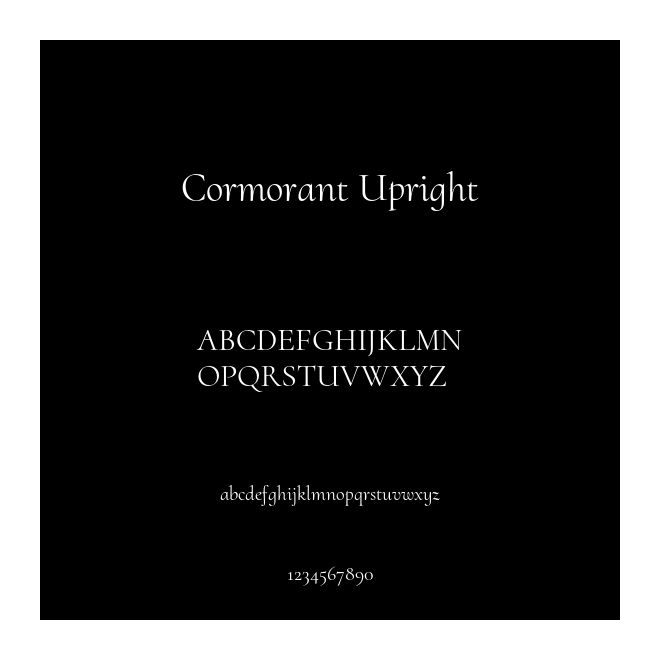 Cormorant Upright