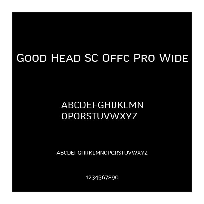 Good Head SC Offc Pro Wide