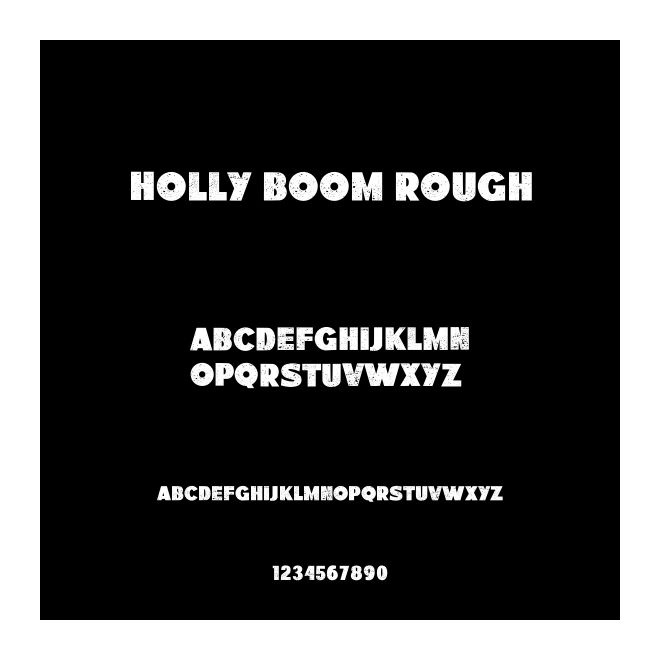 Holly Boom Rough