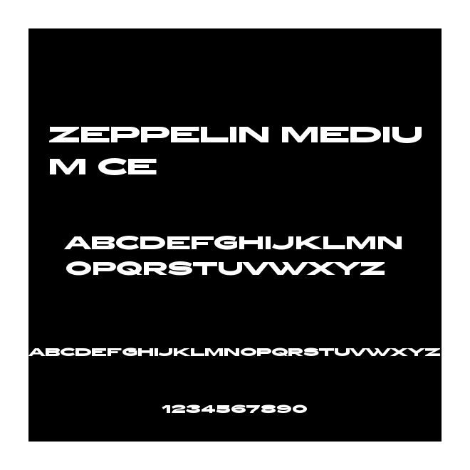 Zeppelin Medium CE